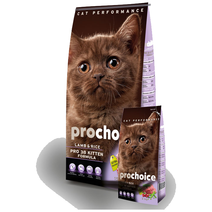Kitten pro