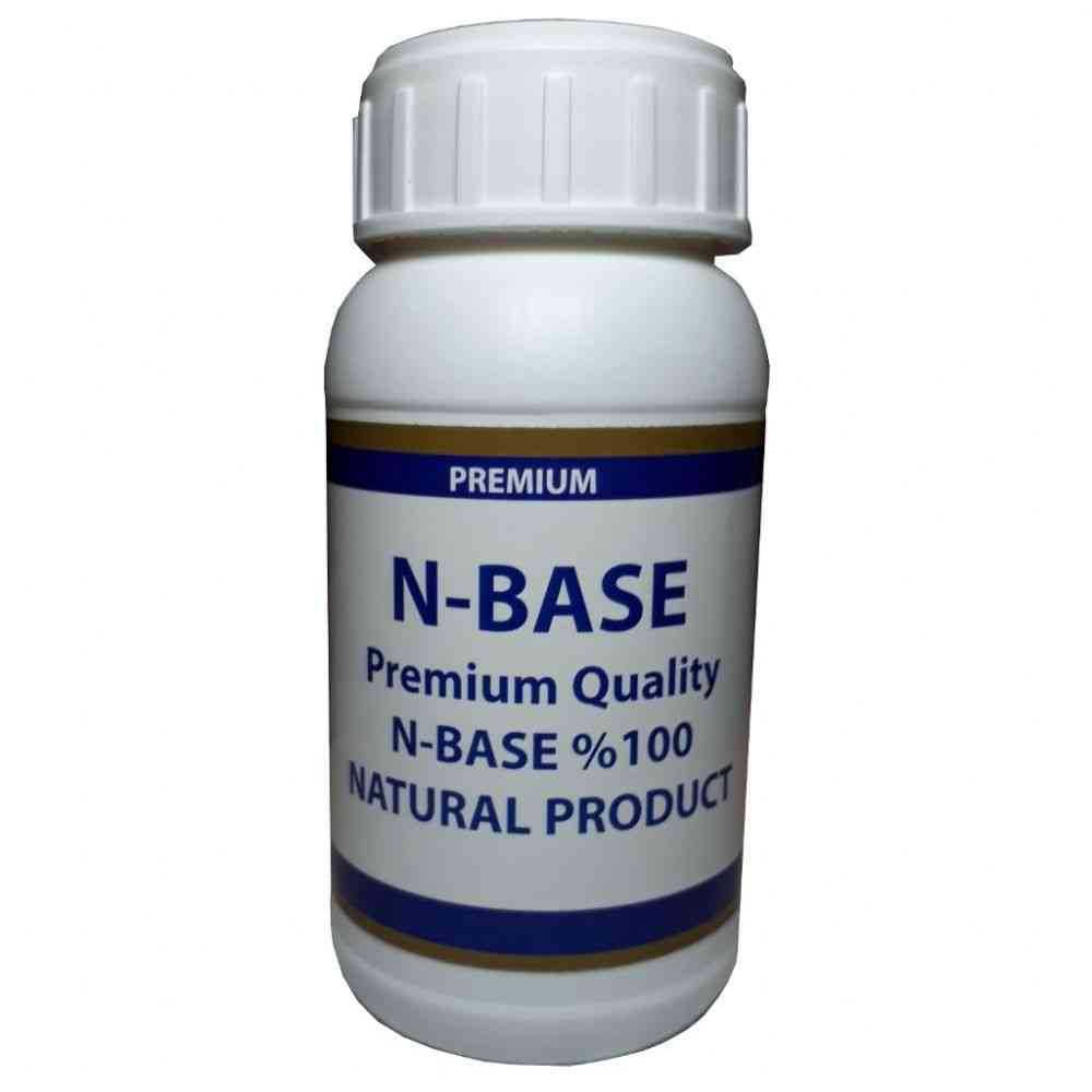 Base n c. Base n c